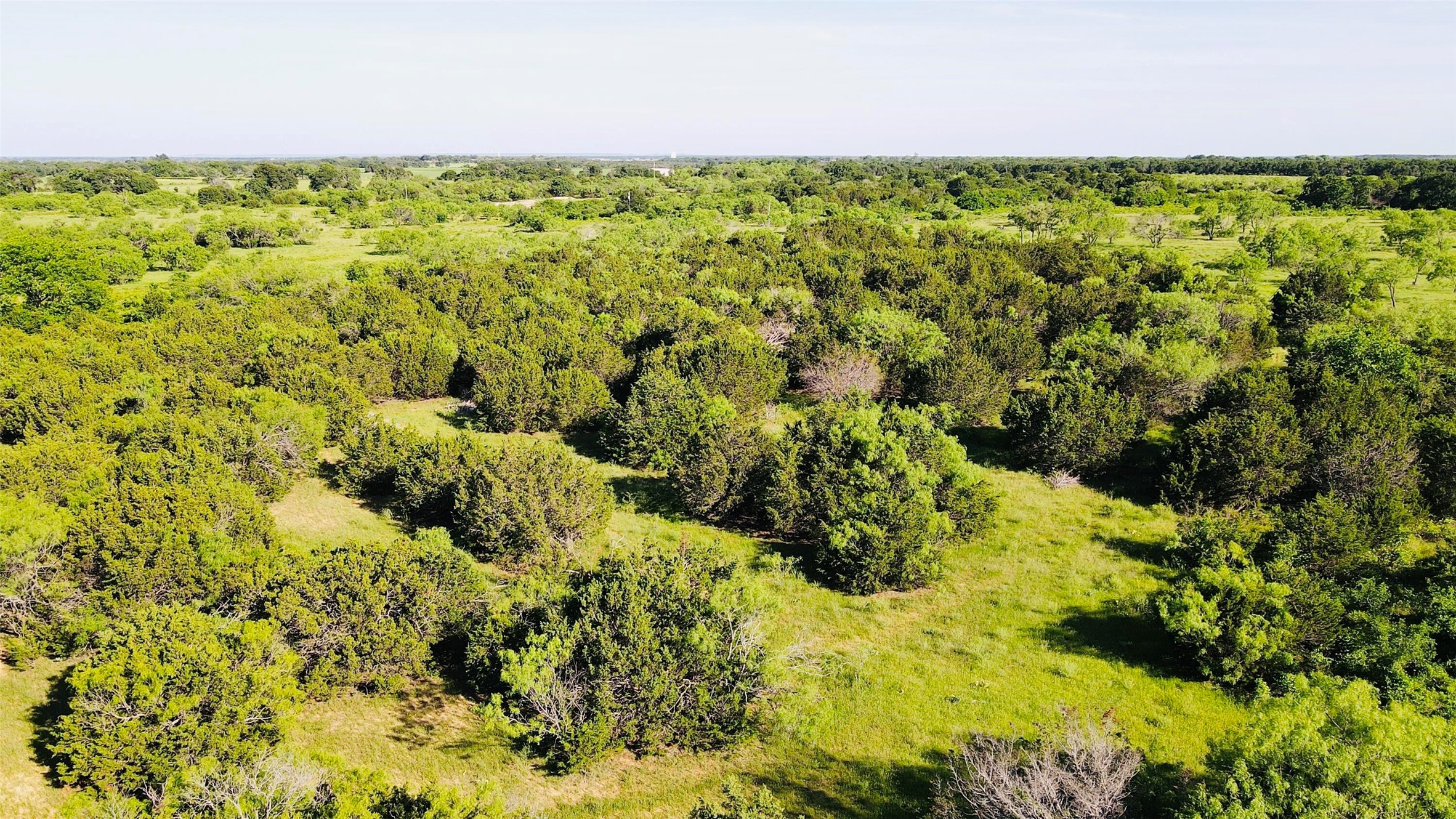 2202 County Road 339 Ranger TX 76470