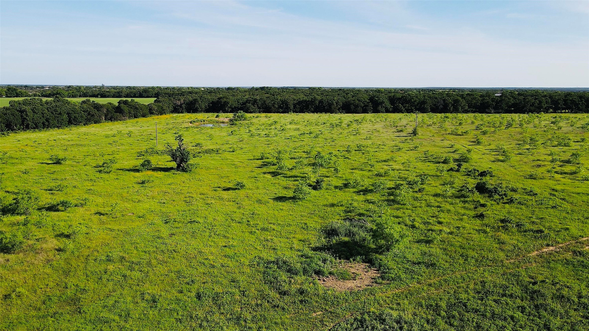 2202 County Road 339 Ranger TX 76470