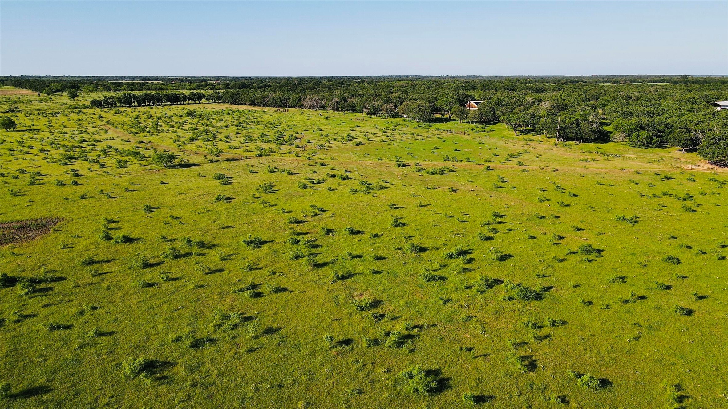 2202 County Road 339 Ranger TX 76470