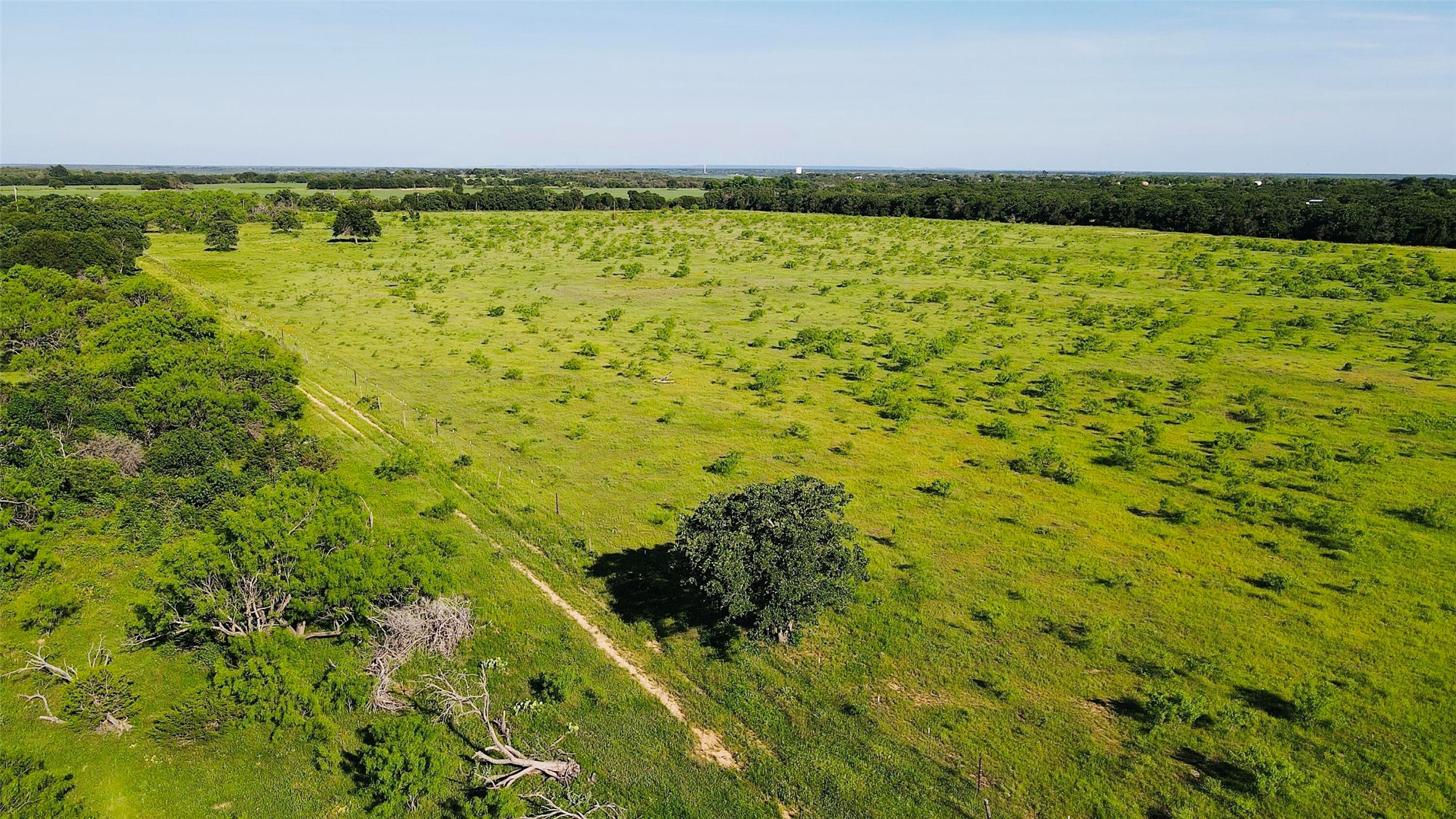 2202 County Road 339 Ranger TX 76470