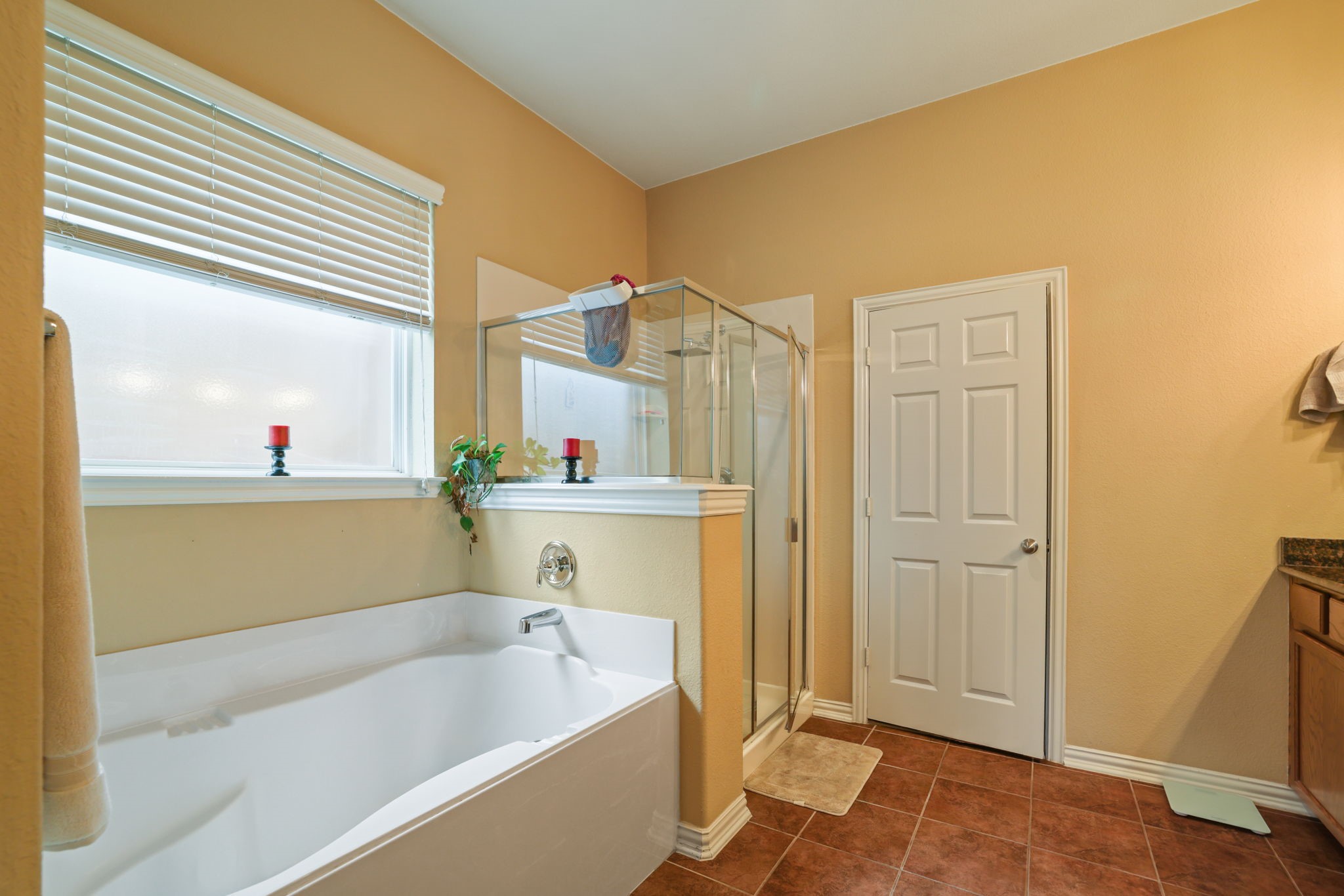 1213 Egret Court Little Elm TX 75068