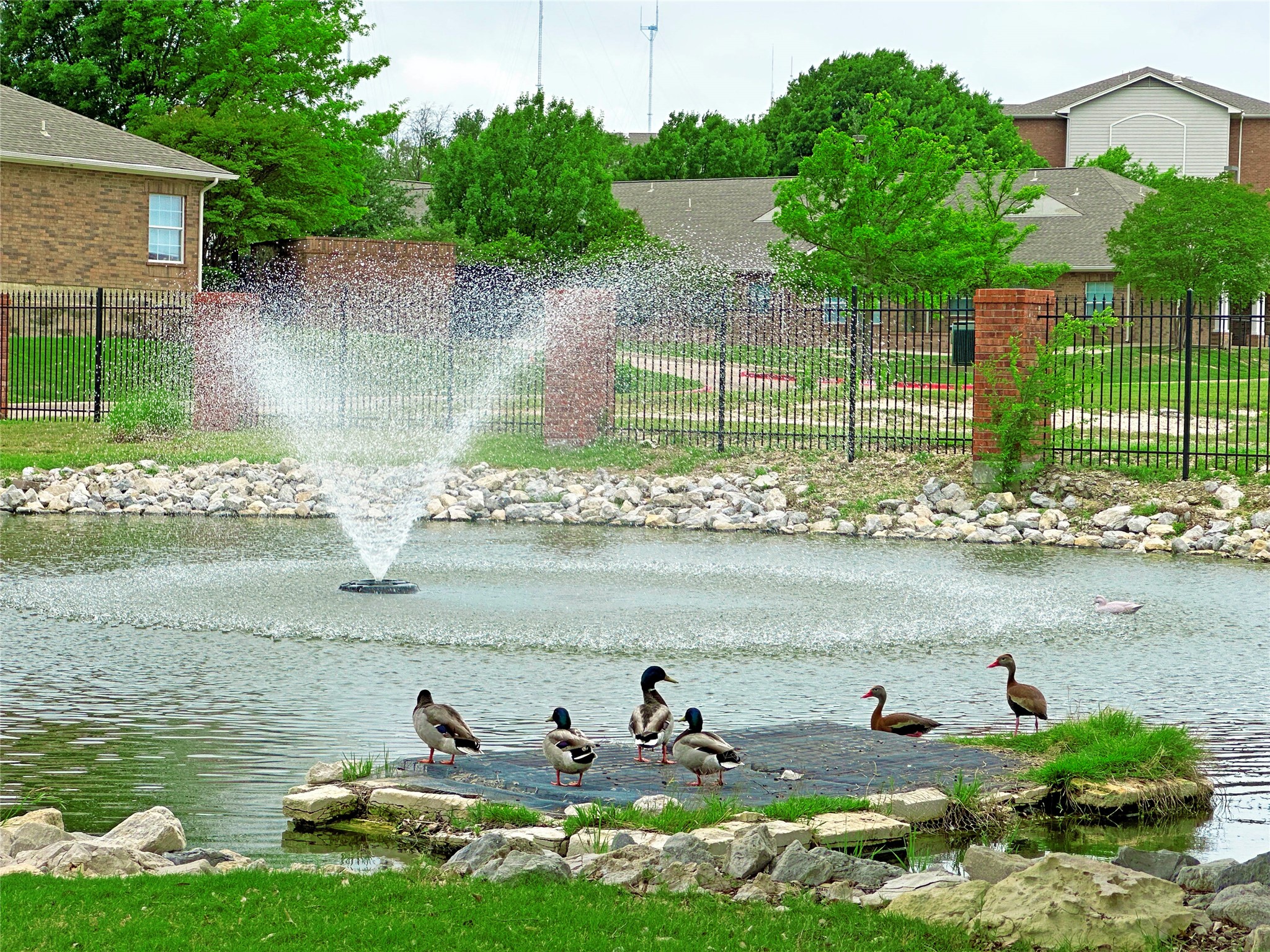 110 Crestway Drive Cedar Hill TX 75104
