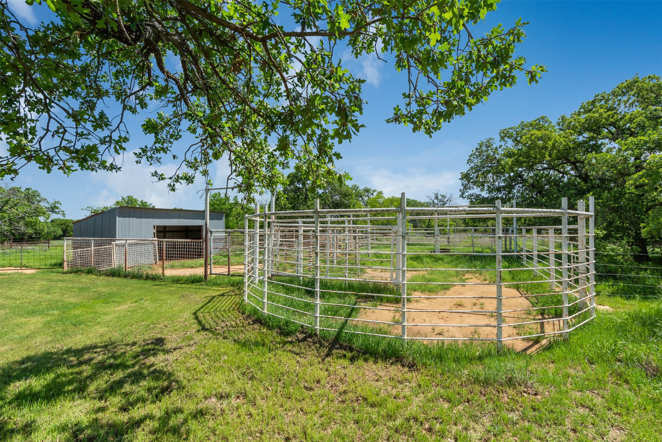 3377 Lodge Creek Road Henrietta TX 76365
