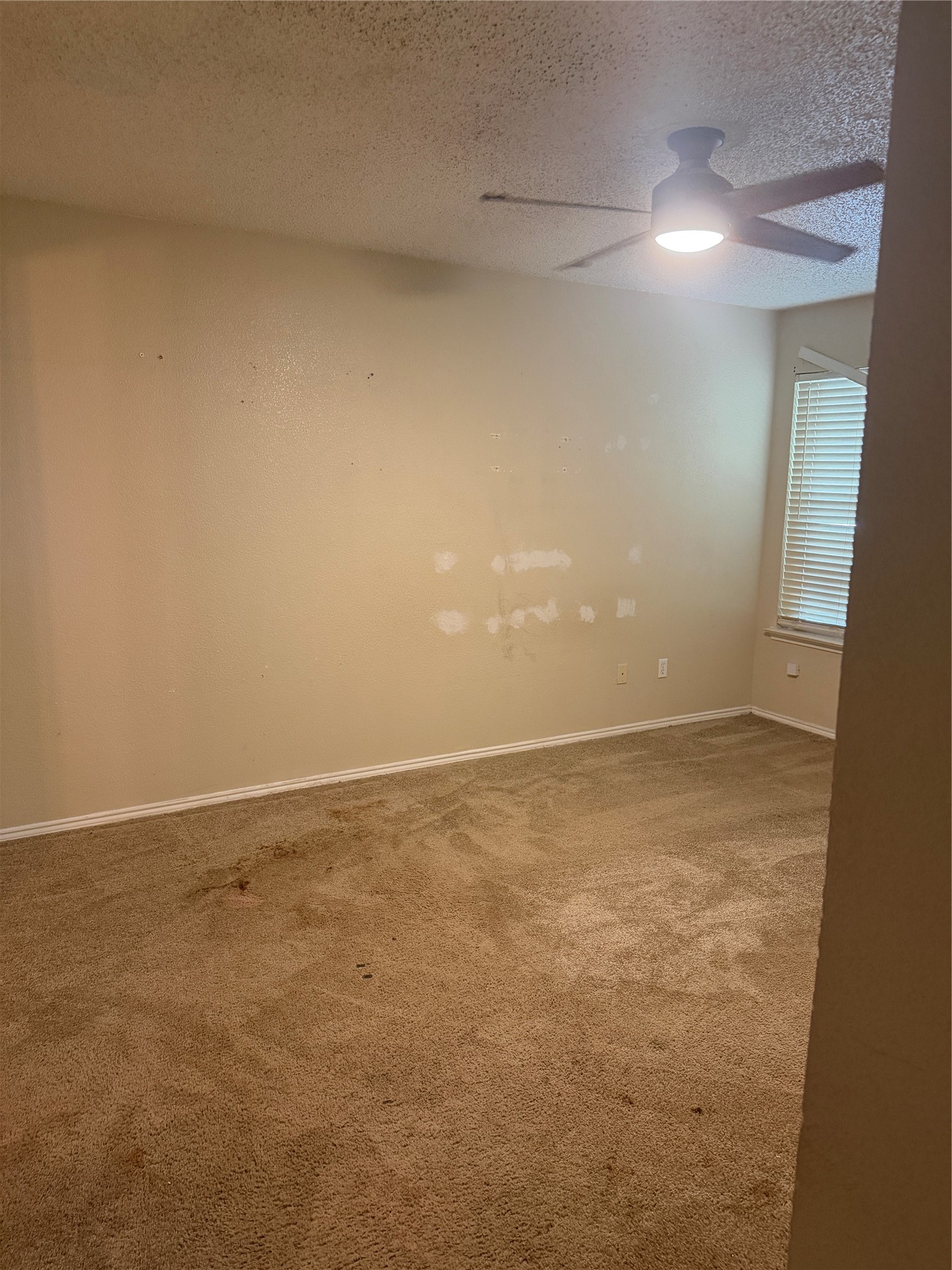 6336 Fern Meadow Drive Fort Worth TX 76179