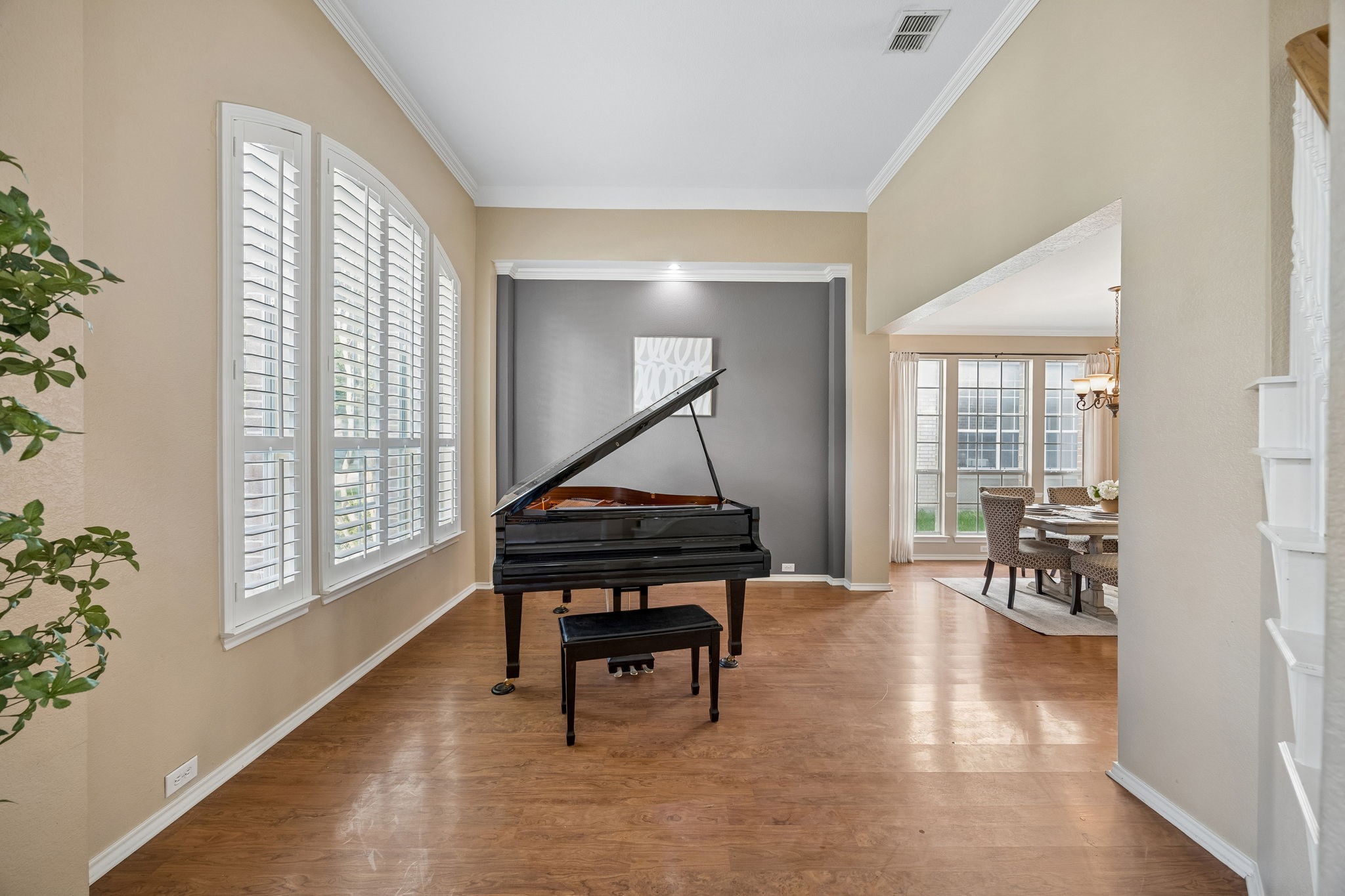 1419 Cool Springs Drive Allen TX 75013
