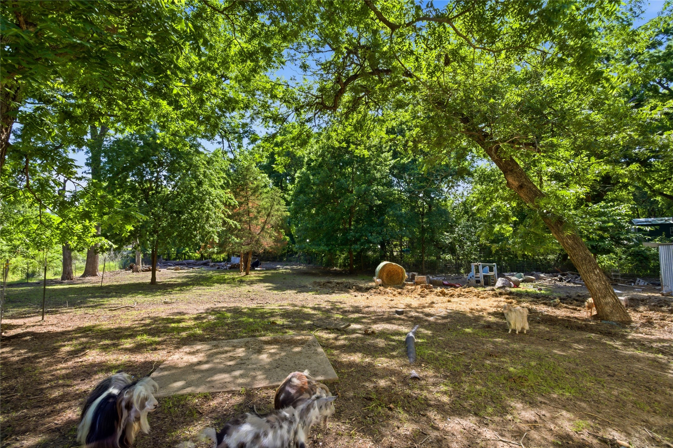 1641 Ben Davis Drive Garland TX 75040
