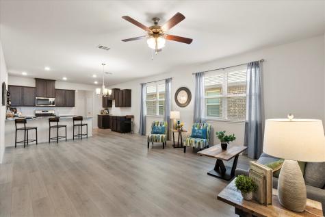 2329 Larimar Drive Little Elm TX 76227