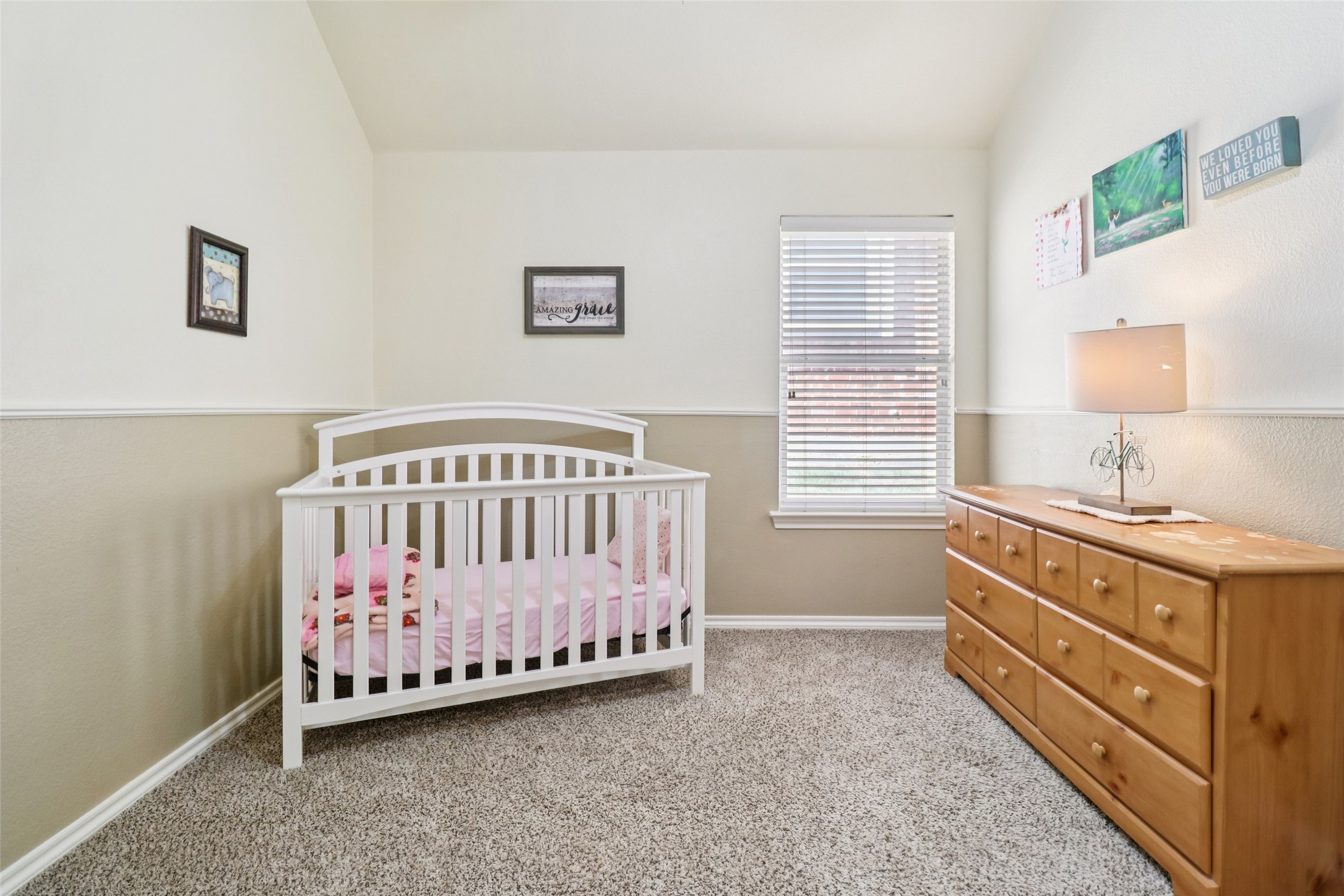 3509 Amador Drive Fort Worth TX 76244