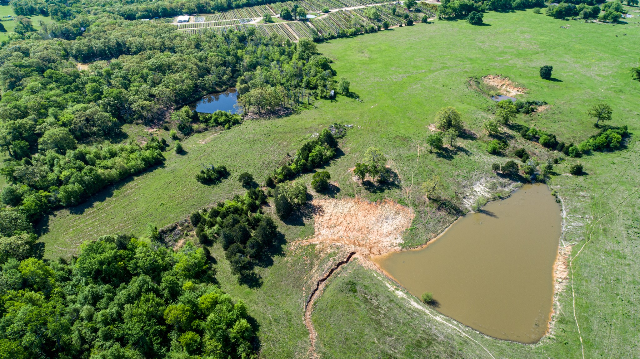 Tbd County Road 1123 Fruitvale TX 75127