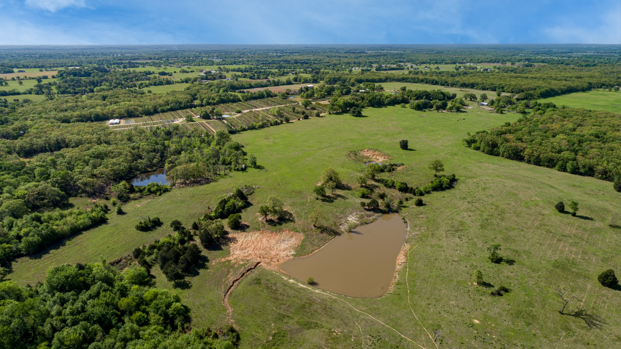 Tbd County Road 1123 Fruitvale TX 75127
