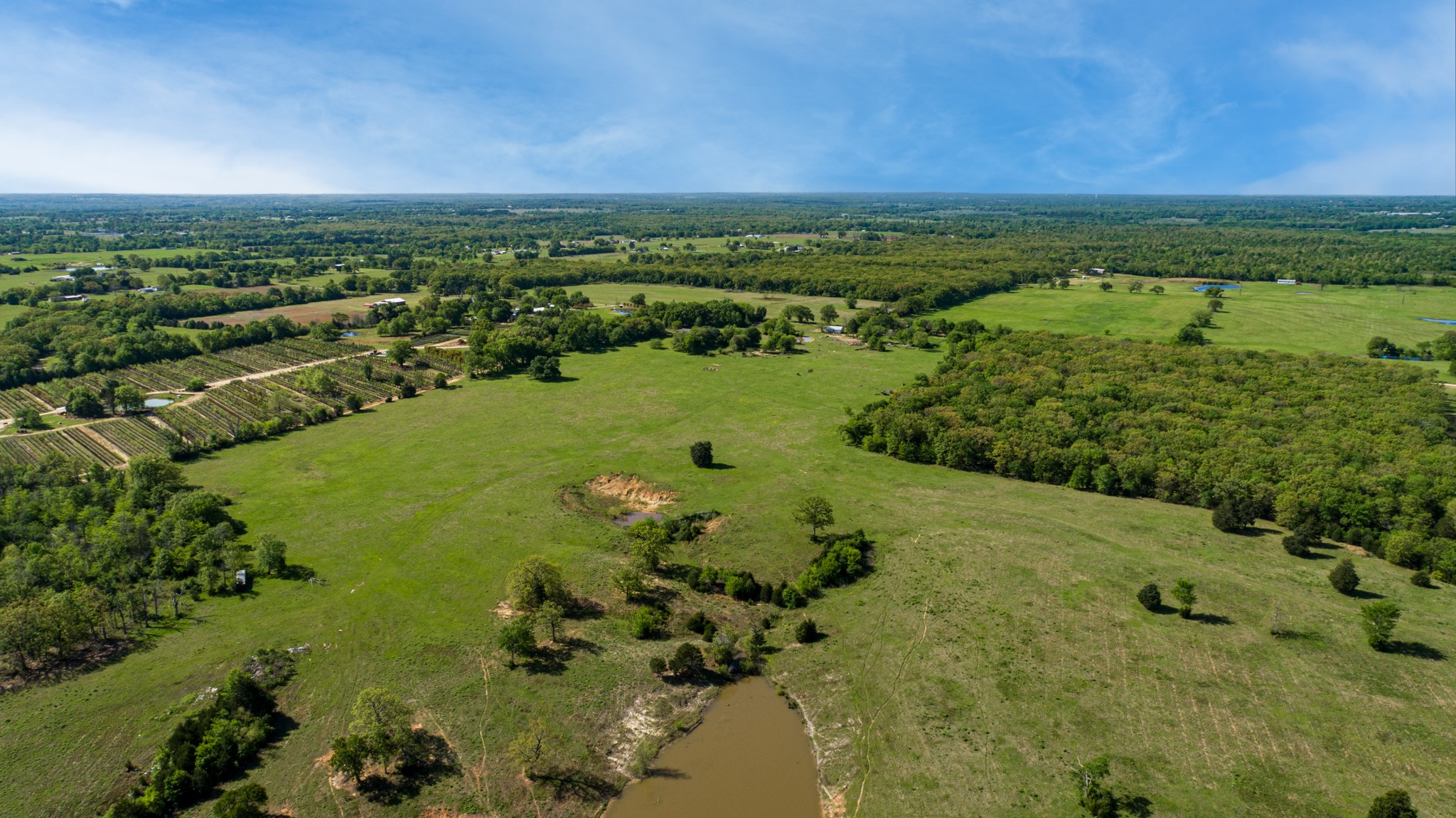 Tbd County Road 1123 Fruitvale TX 75127