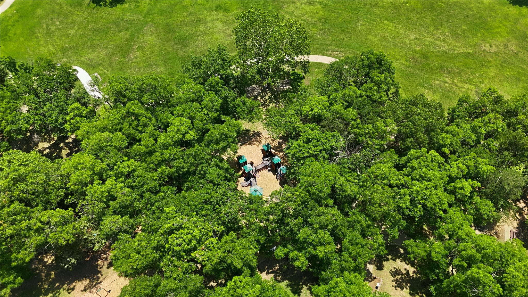 1809 Water Oak Drive Lewisville TX 75067