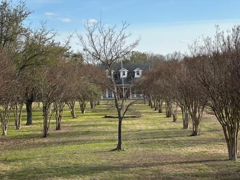 8099 W Interstate Highway 30 Cumby TX 75433