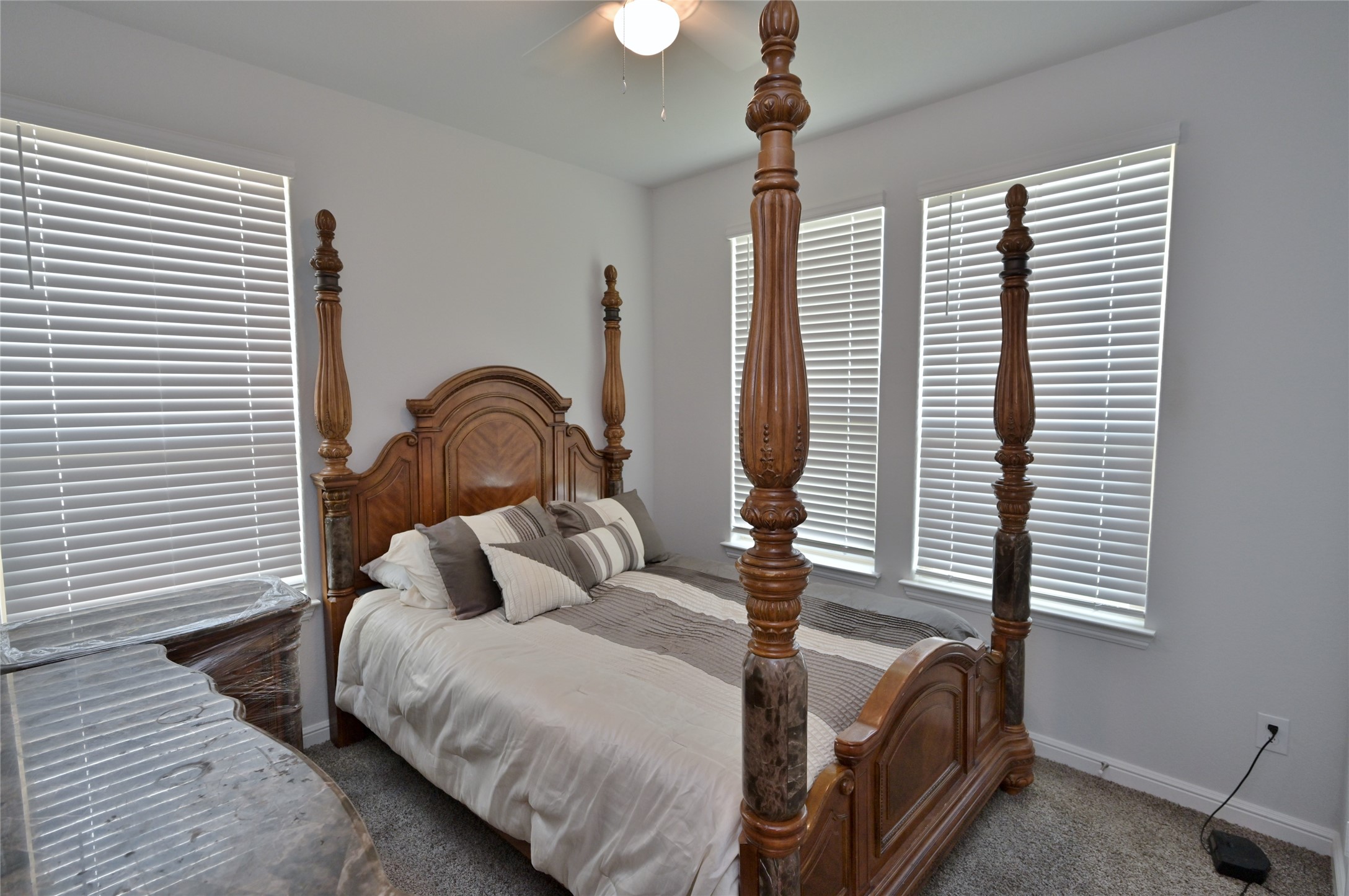 4524 Fringetree Way Fort Worth TX 76036