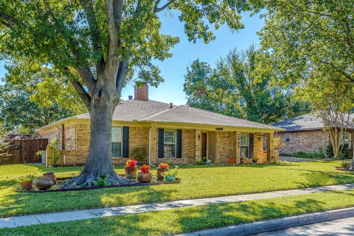 1904 Sara Lane Richardson TX 75081