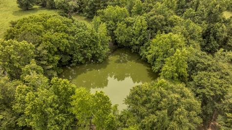 9822 Nasturtium Road Ore City TX 75683