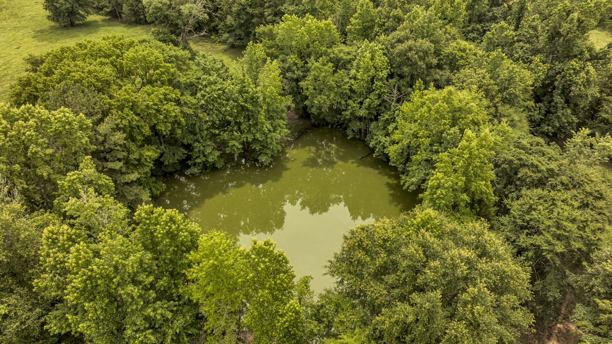 9822 Nasturtium Road Ore City TX 75683
