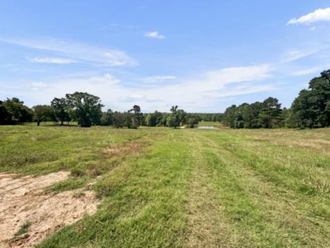 9822 Nasturtium Road Ore City TX 75683