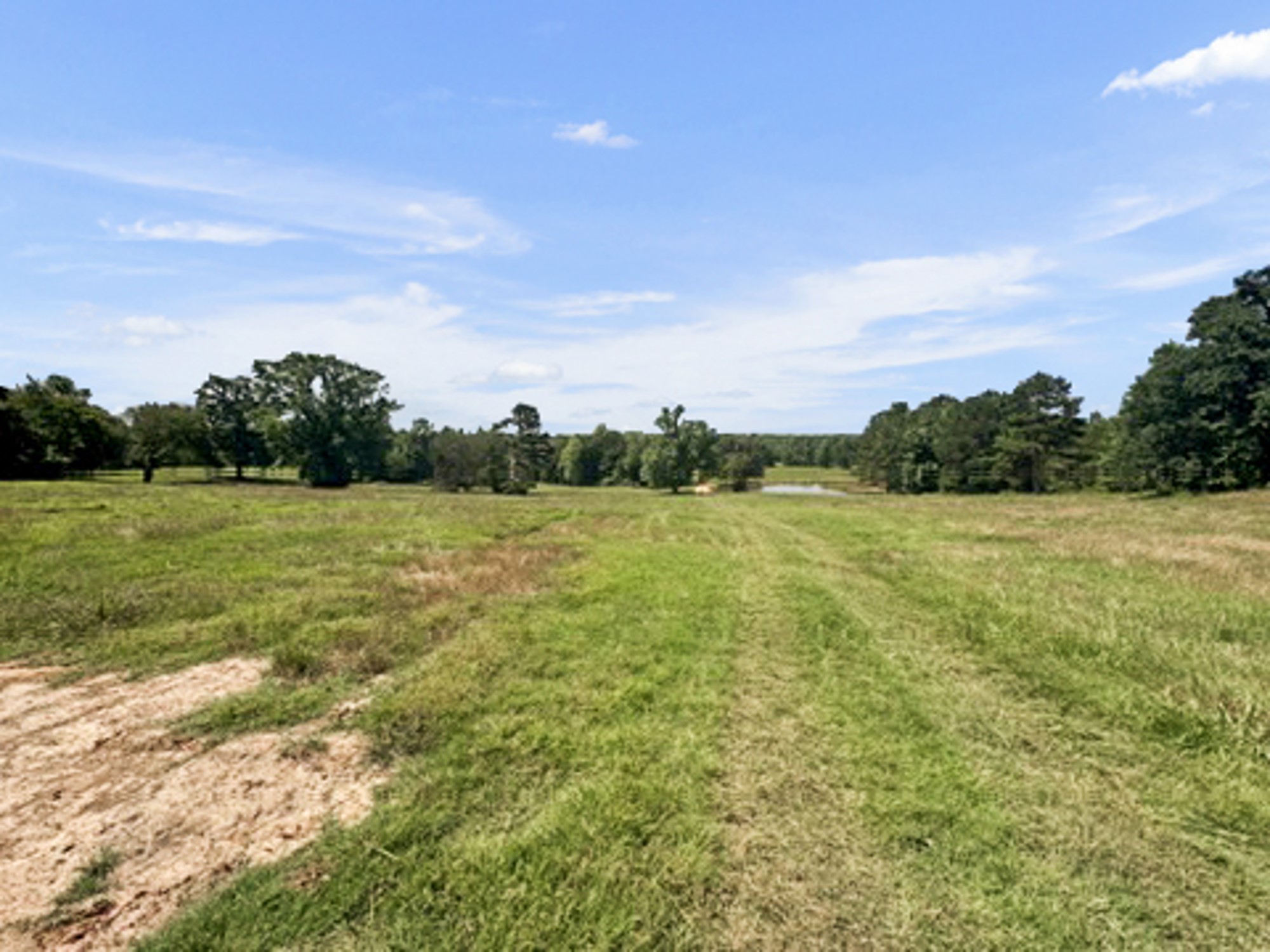 9822 Nasturtium Road Ore City TX 75683