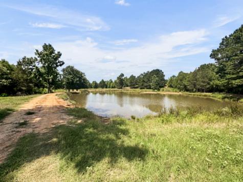 9822 Nasturtium Road Ore City TX 75683