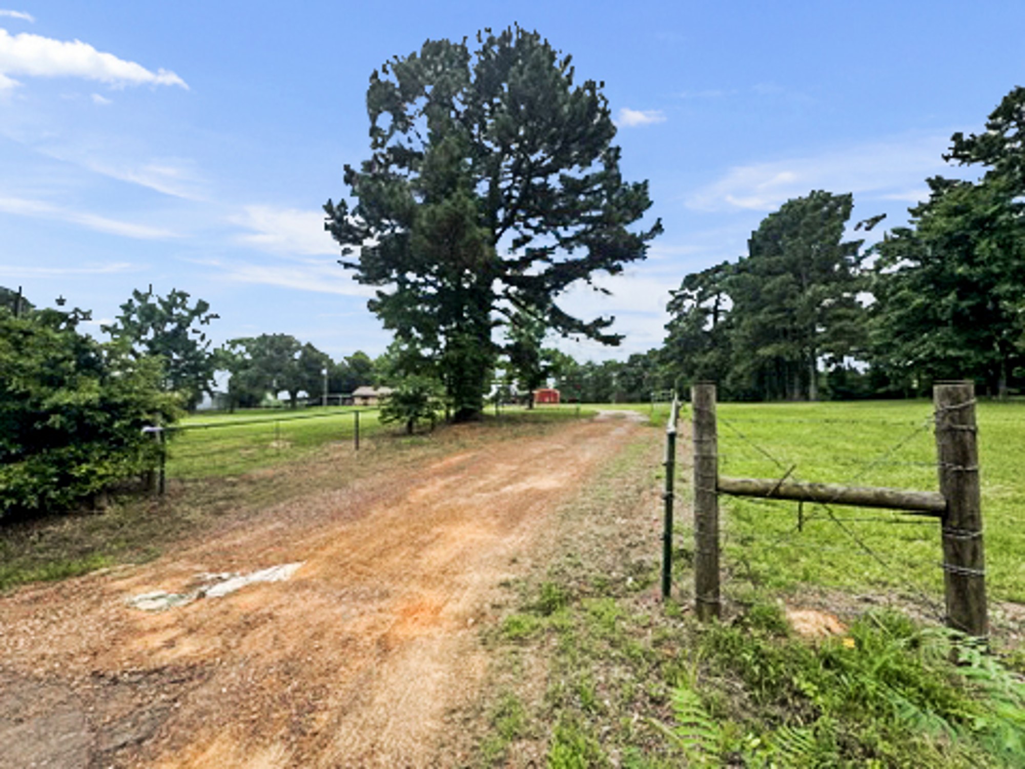 9822 Nasturtium Road Ore City TX 75683