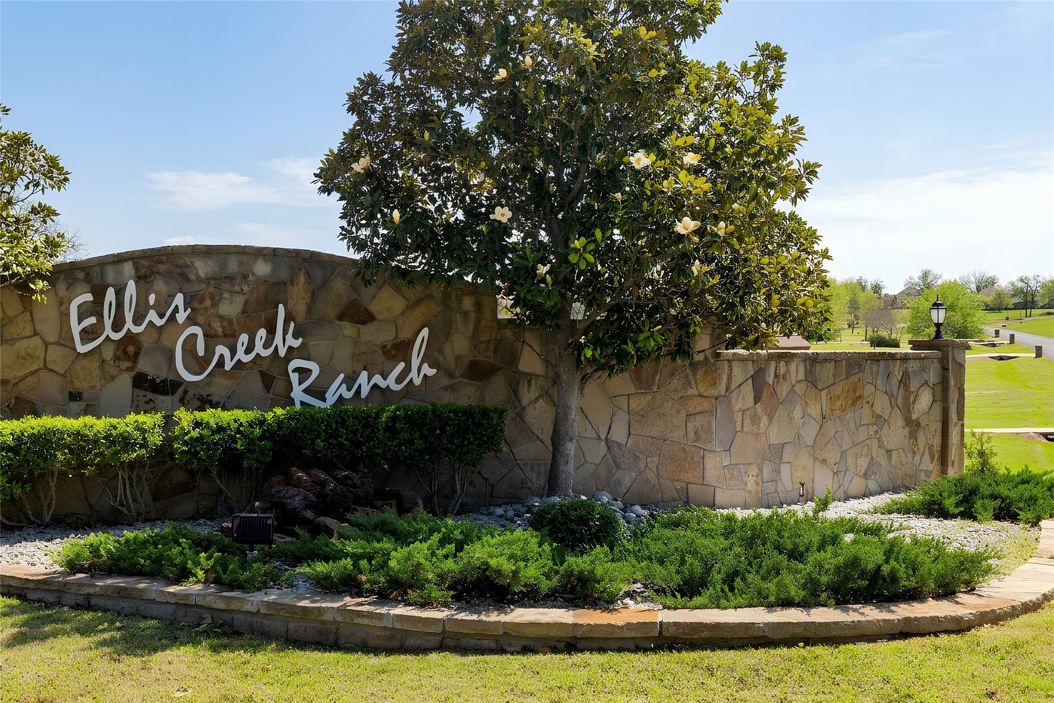209 Ellis Creek Drive Weatherford TX 76085