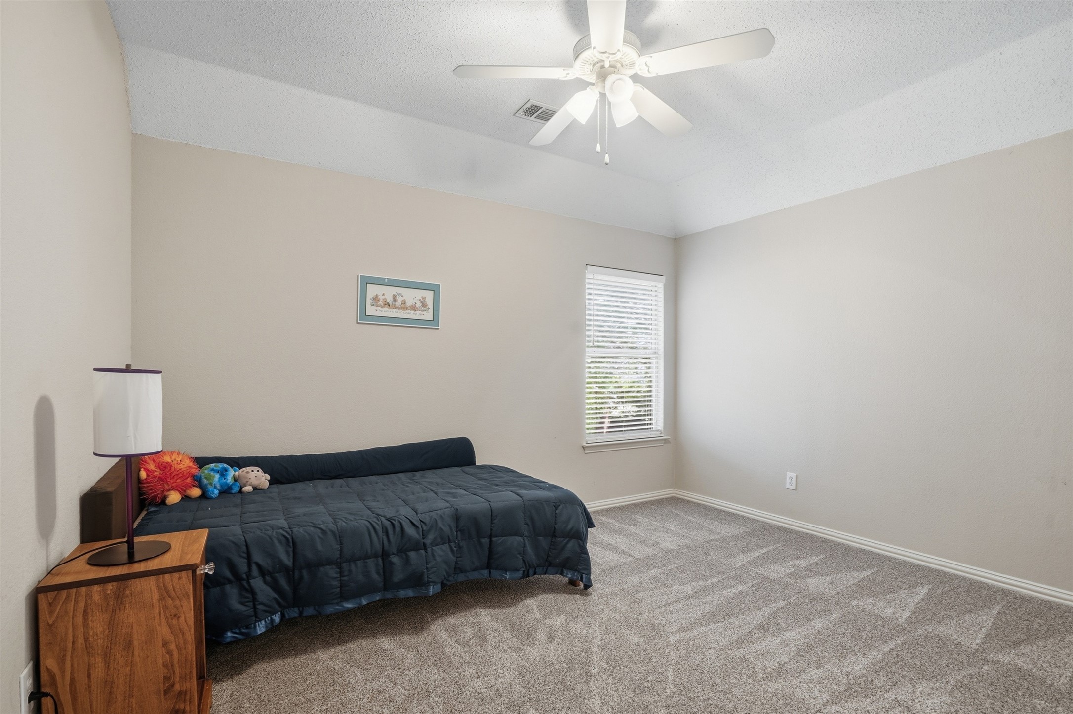 6720 Branch Creek Drive Fort Worth TX 76132