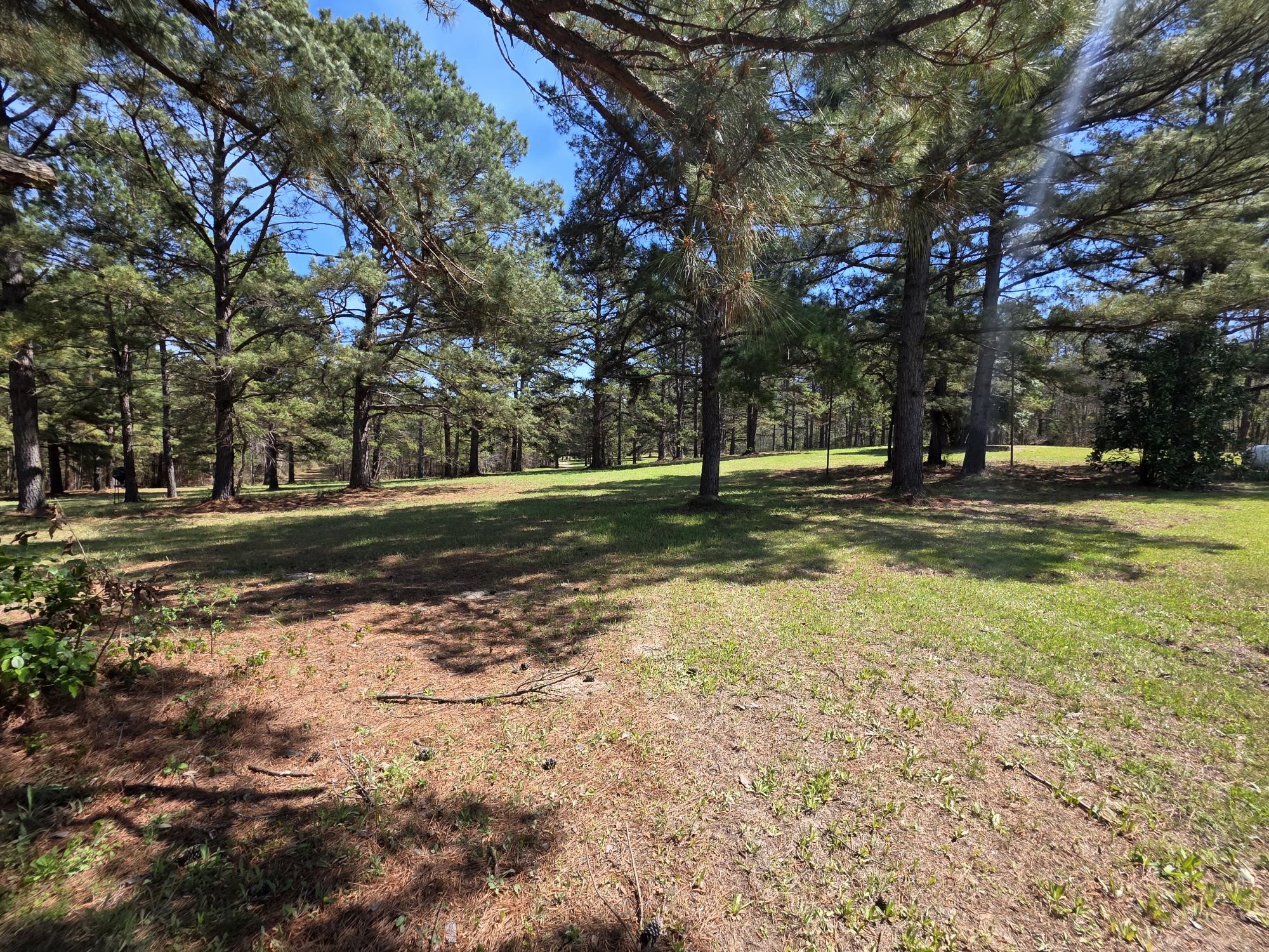 448 County Road 3955 Mineola TX 75773