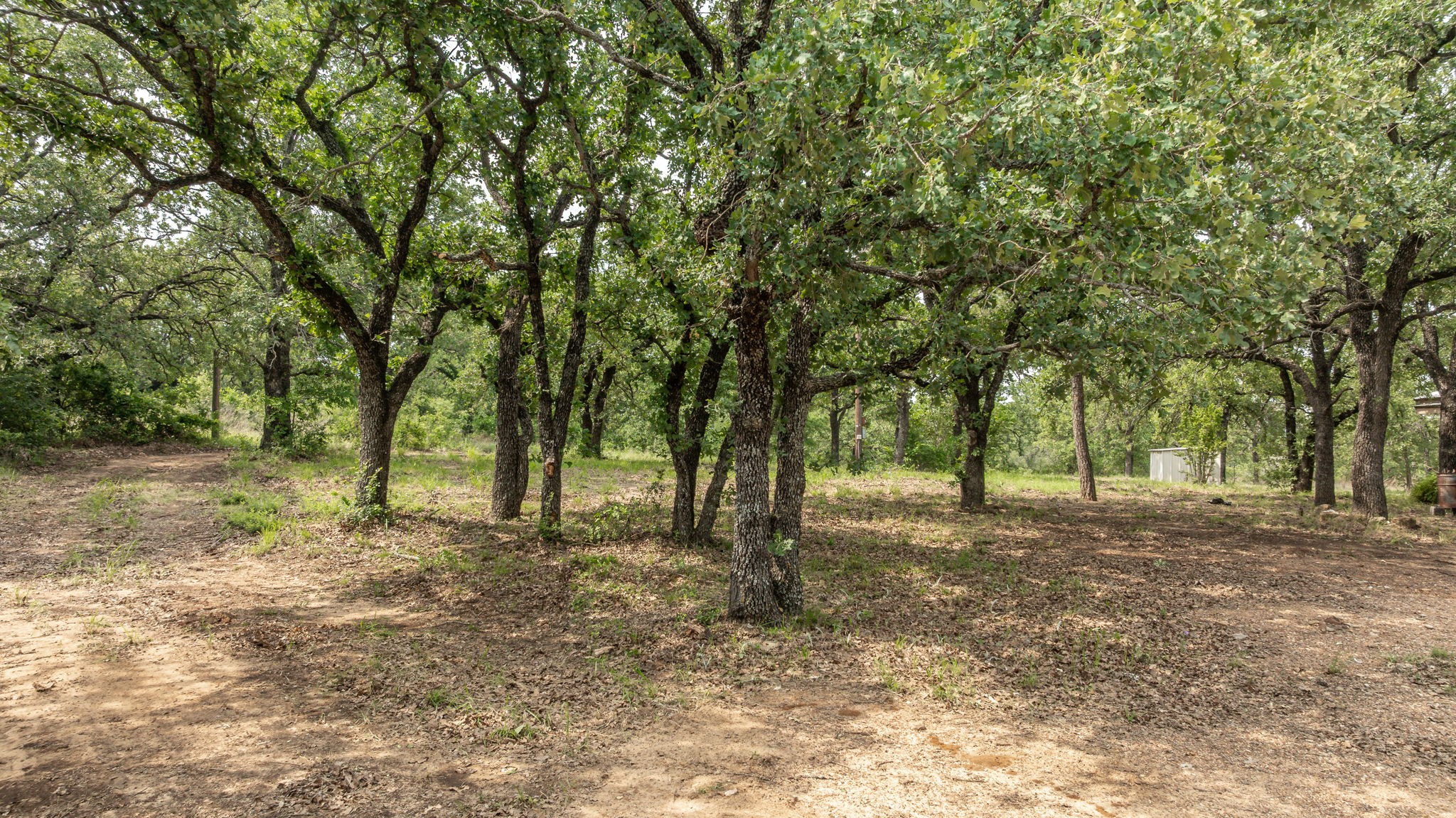 2850 County Road 434 Dublin TX 76446