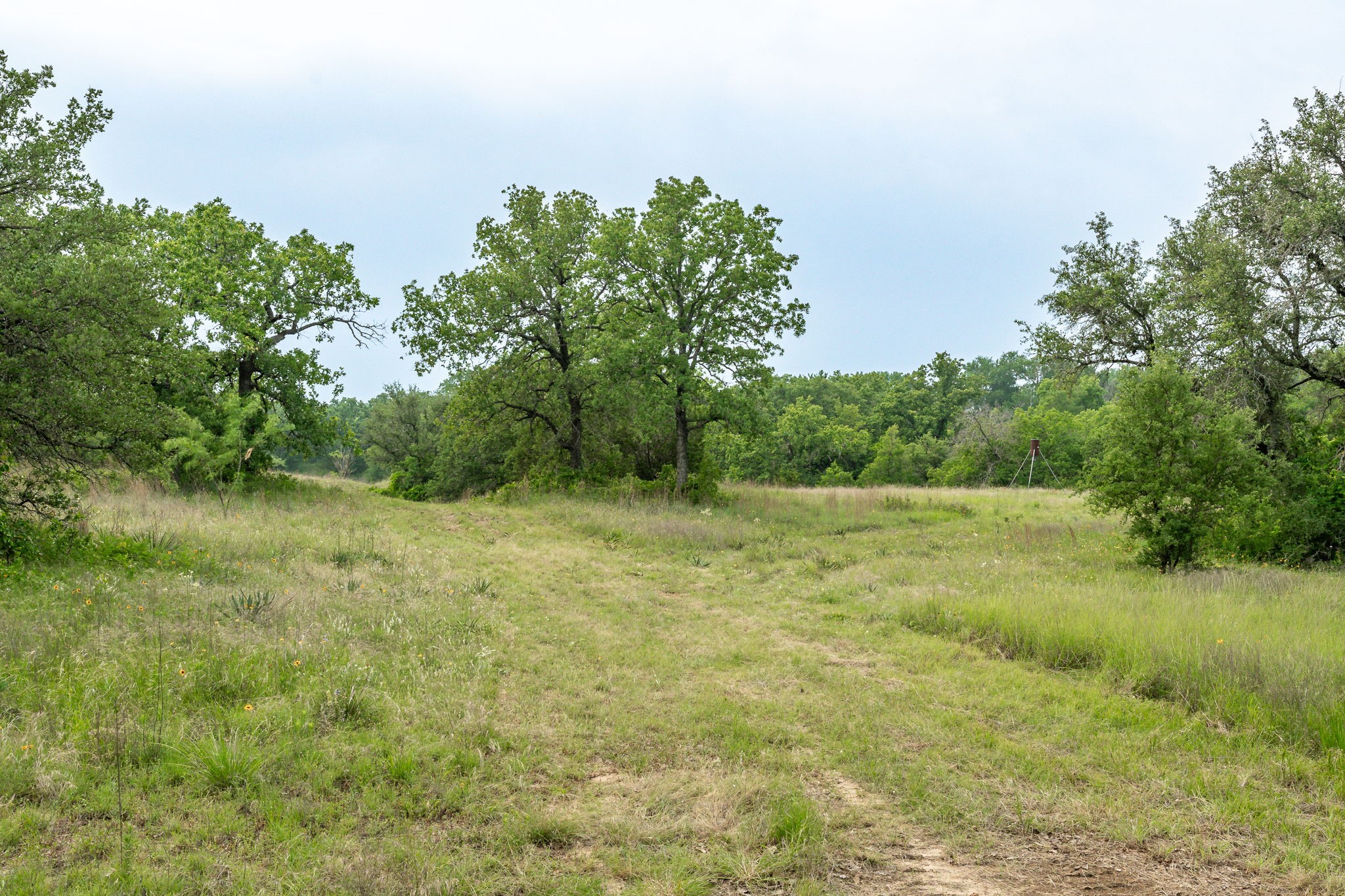 2850 County Road 434 Dublin TX 76446