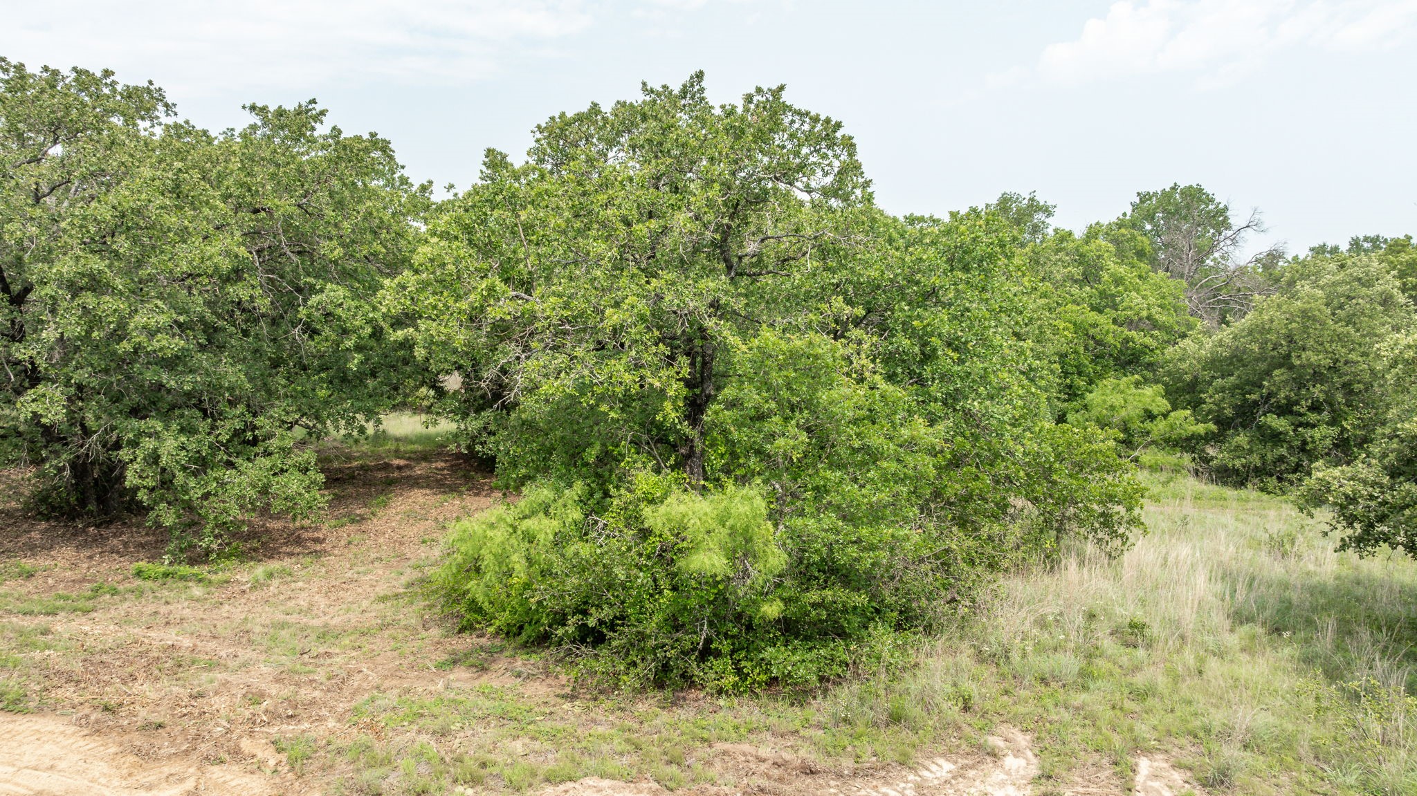 2850 County Road 434 Dublin TX 76446