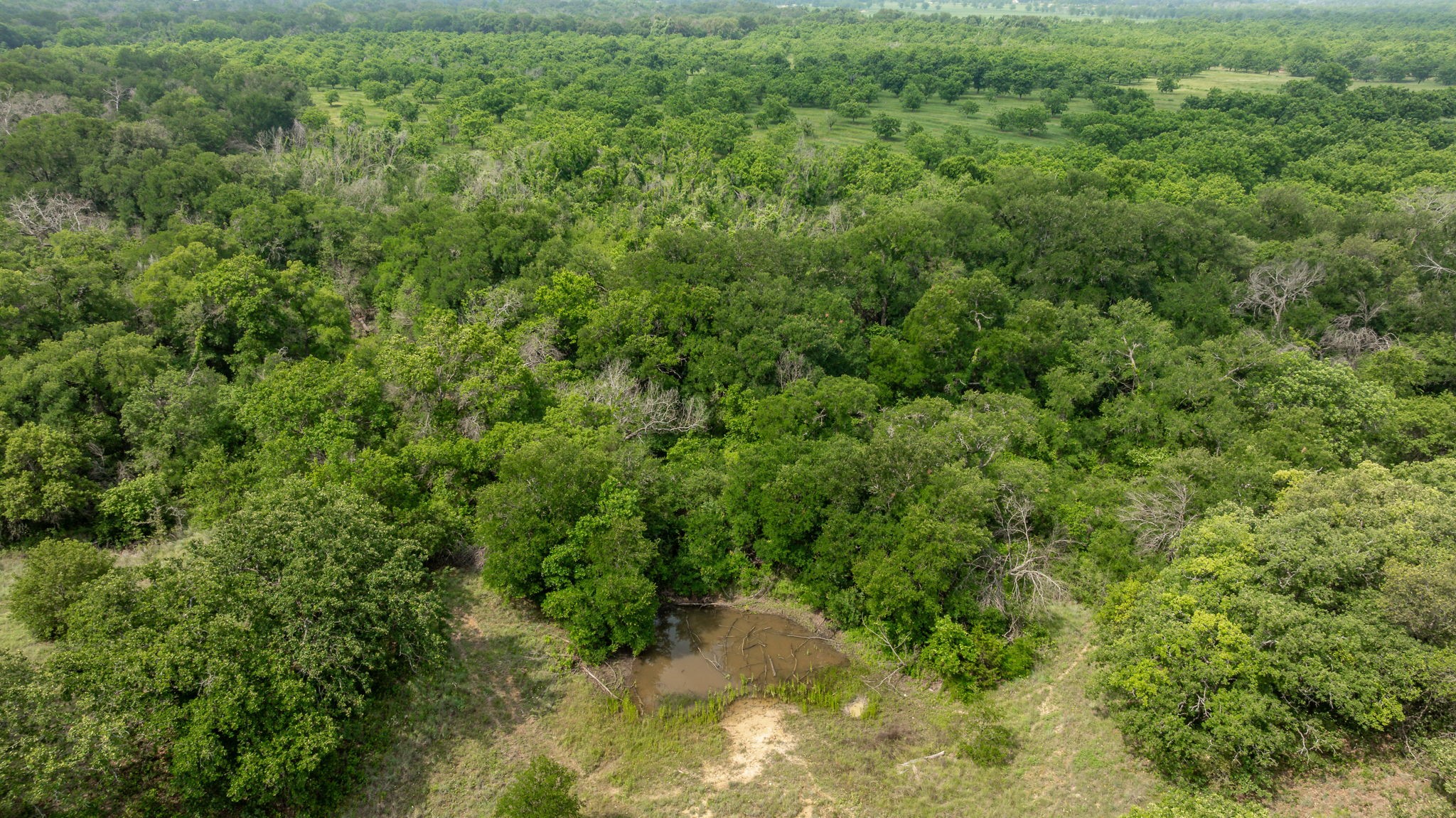 2850 County Road 434 Dublin TX 76446