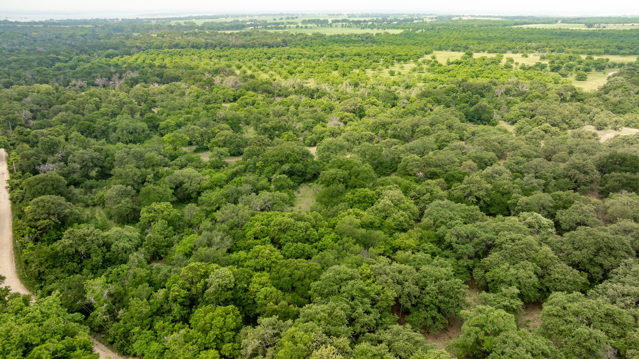 2850 County Road 434 Dublin TX 76446