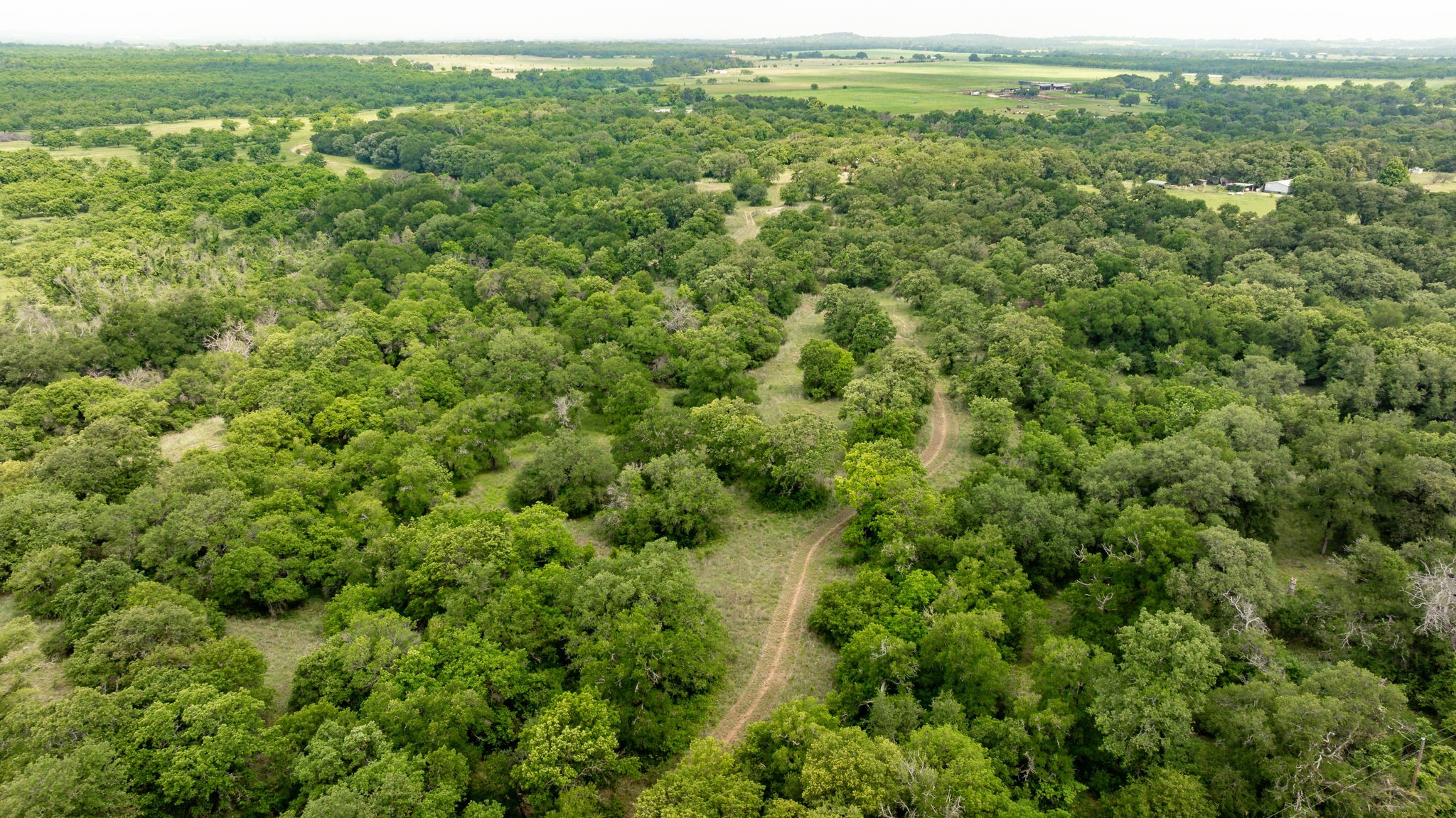 2850 County Road 434 Dublin TX 76446