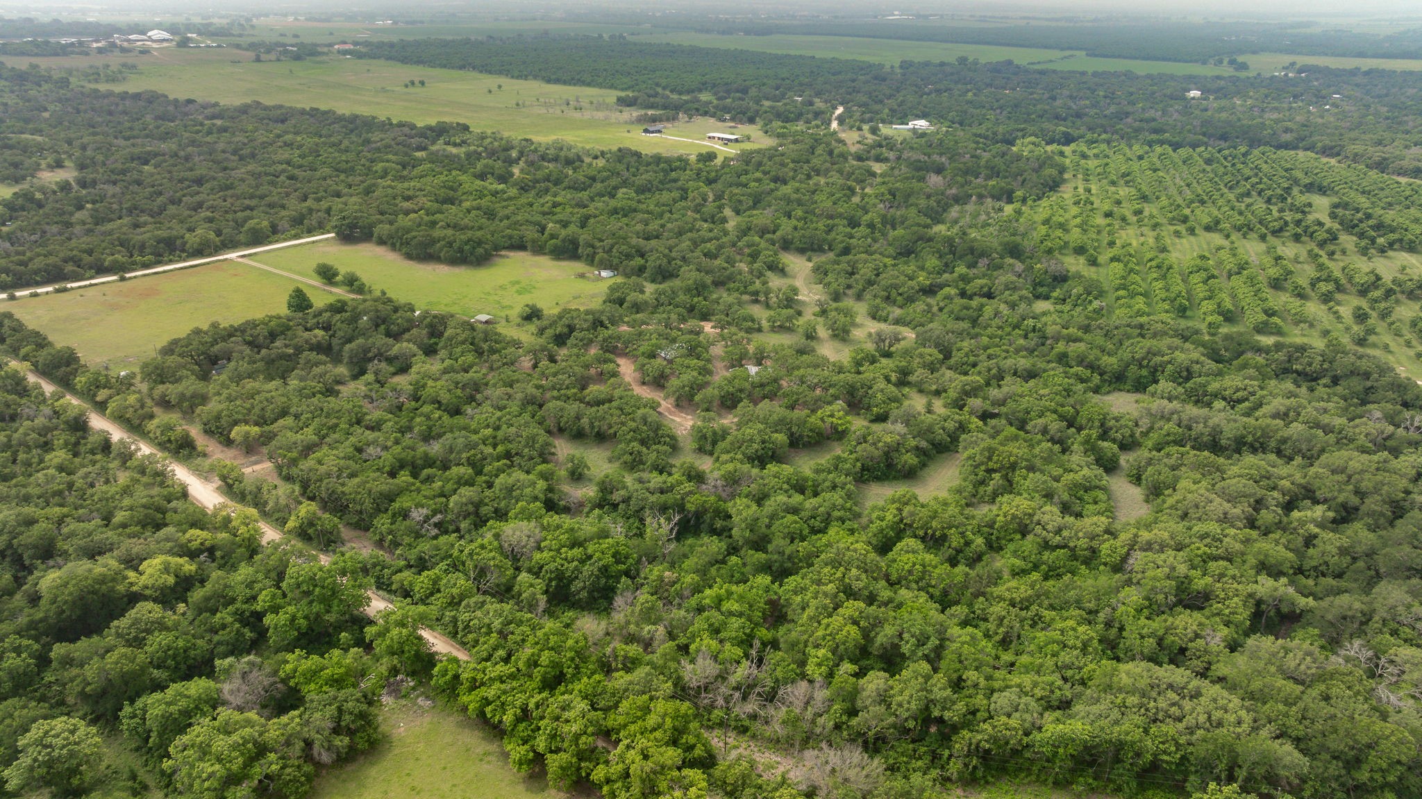 2850 County Road 434 Dublin TX 76446
