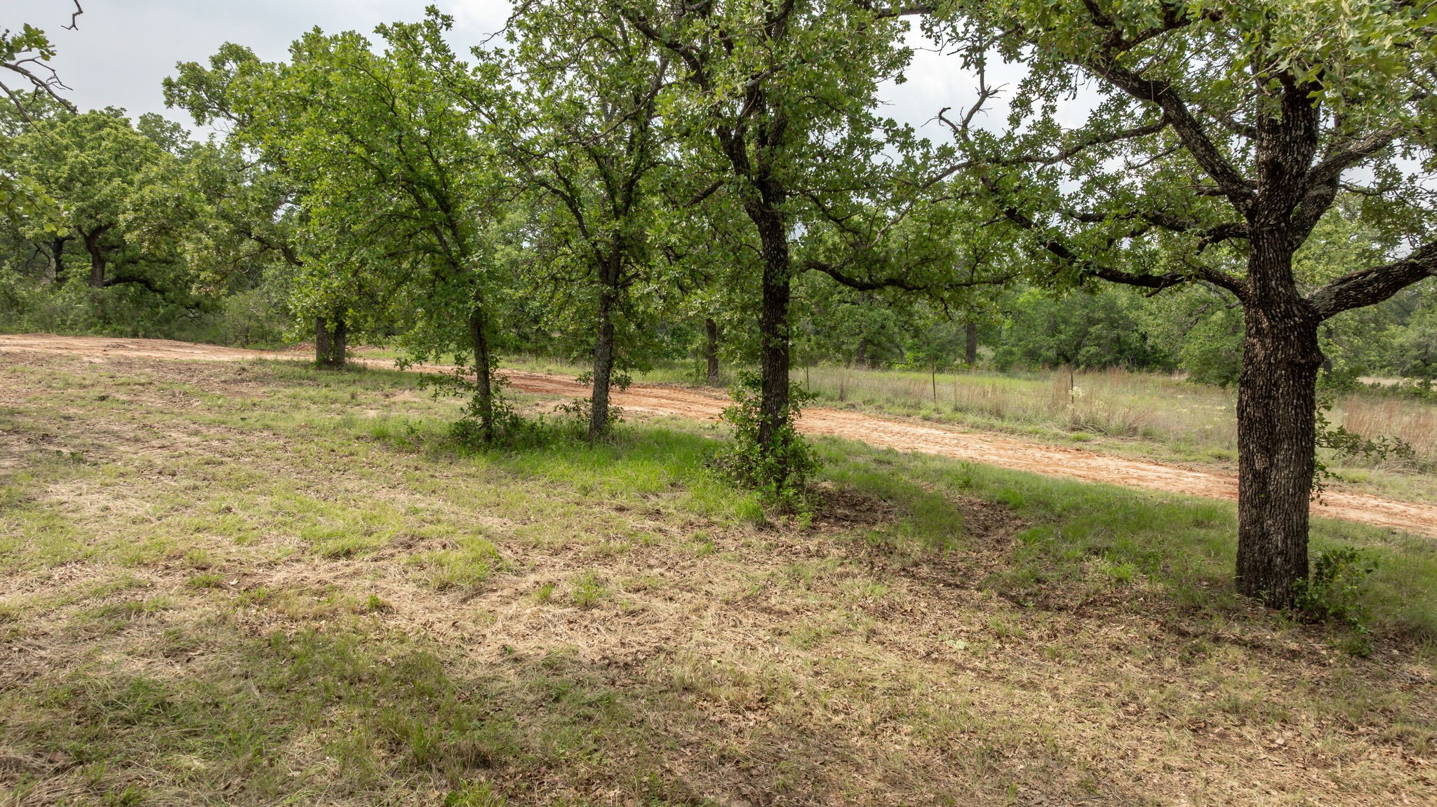 2850 County Road 434 Dublin TX 76446