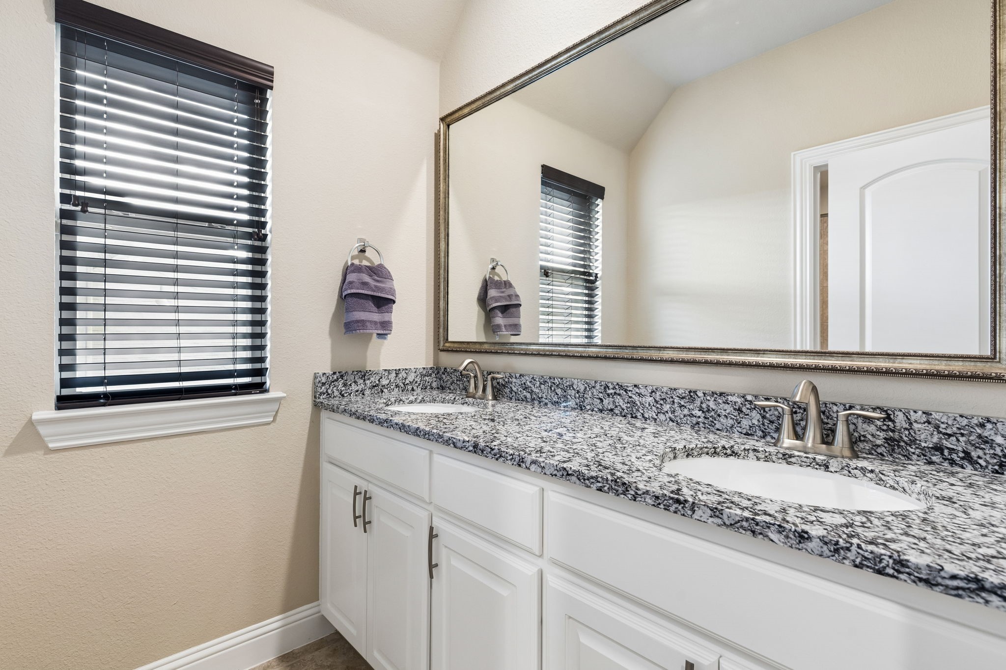 748 Sandbox Drive Little Elm TX 76227