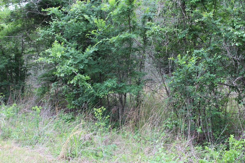 16104 SE County Road 2390 Streetman TX 75859