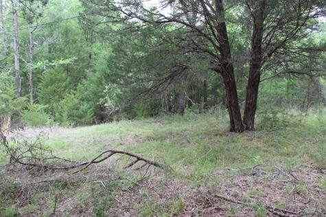 16104 SE County Road 2390 Streetman TX 75859