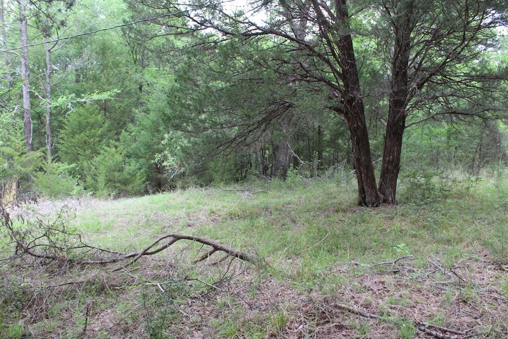 16104 SE County Road 2390 Streetman TX 75859