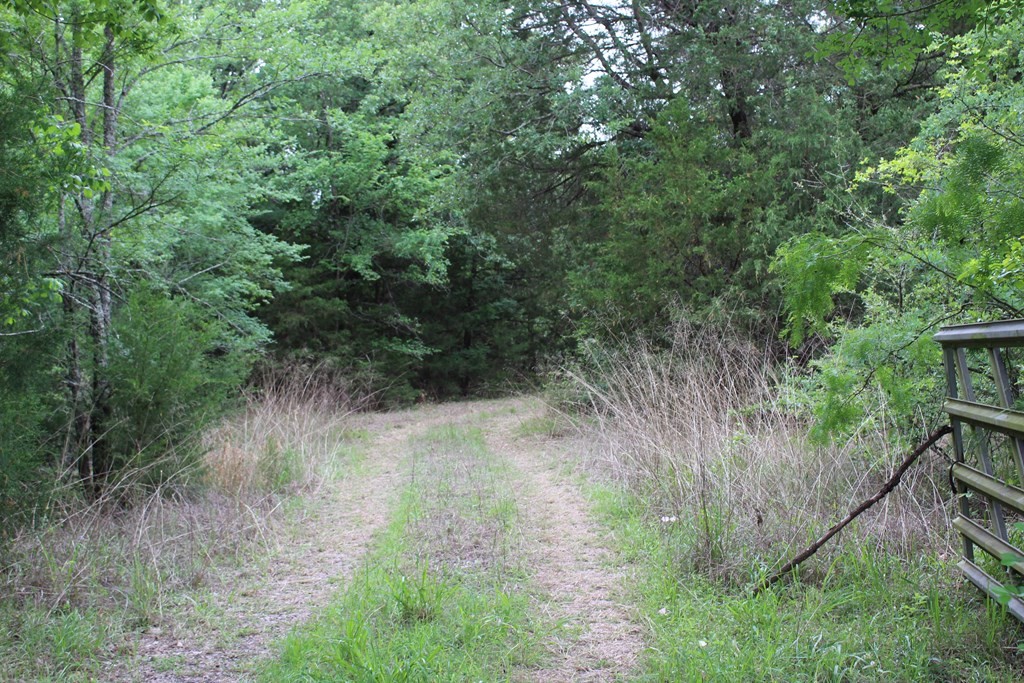 16104 SE County Road 2390 Streetman TX 75859