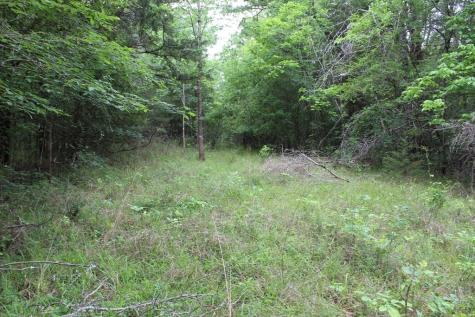 16104 SE County Road 2390 Streetman TX 75859