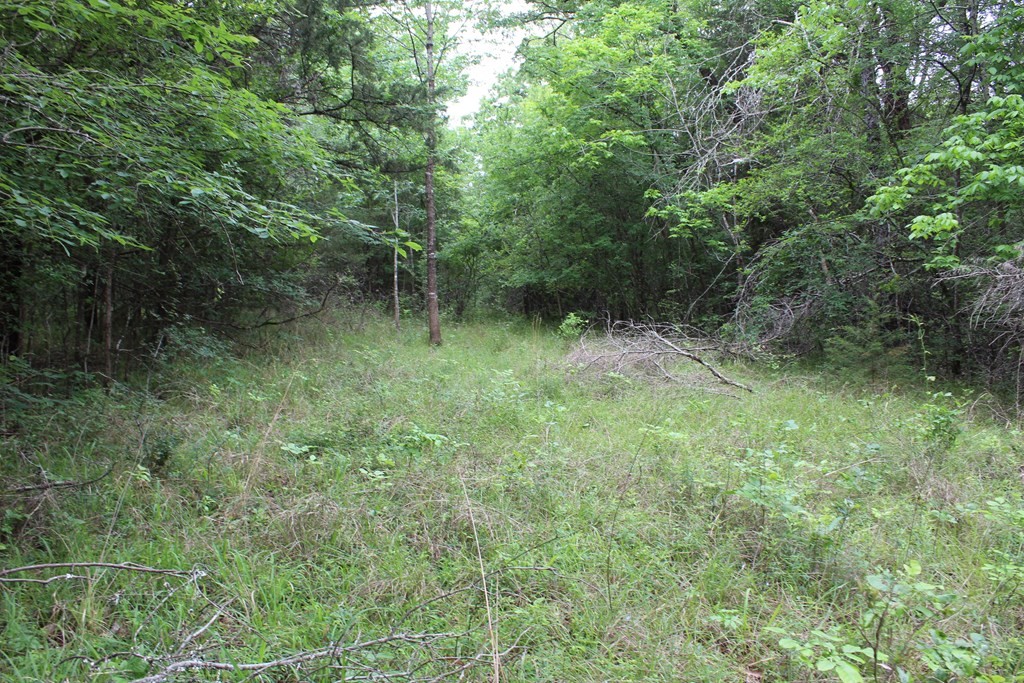 16104 SE County Road 2390 Streetman TX 75859