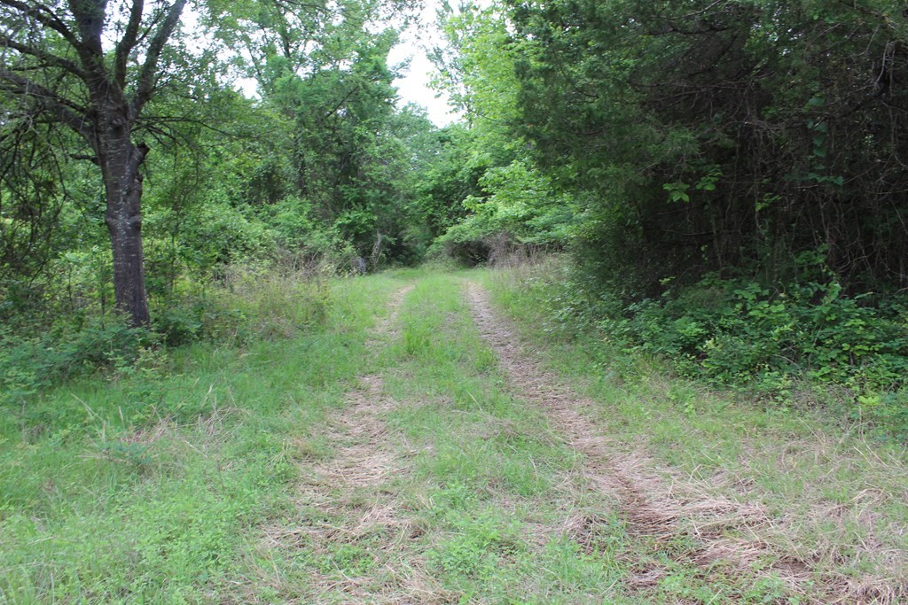 16104 SE County Road 2390 Streetman TX 75859