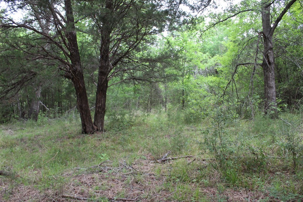 16104 SE County Road 2390 Streetman TX 75859