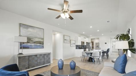 1313 Hopes Lake Drive Princeton TX 75407
