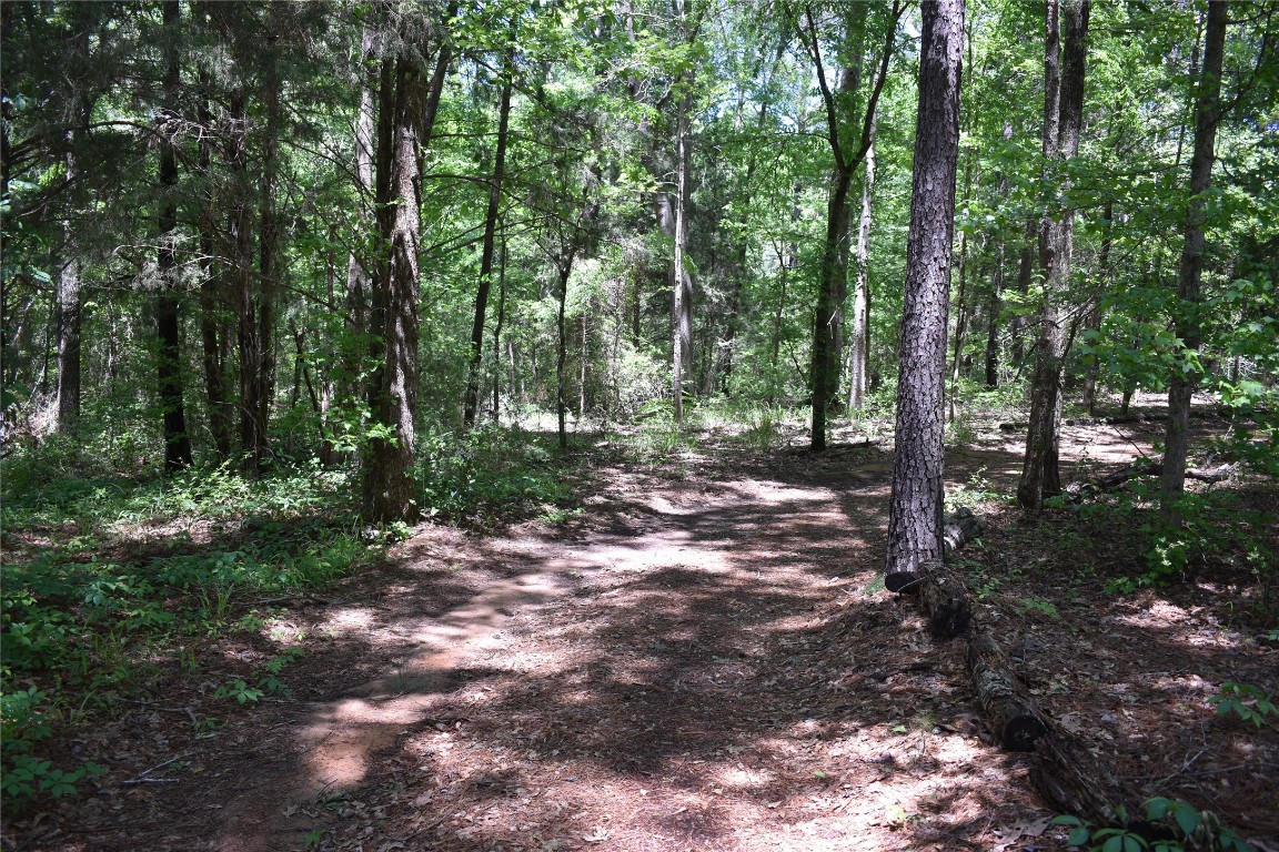 296 County Road 4613 Troup TX 75789