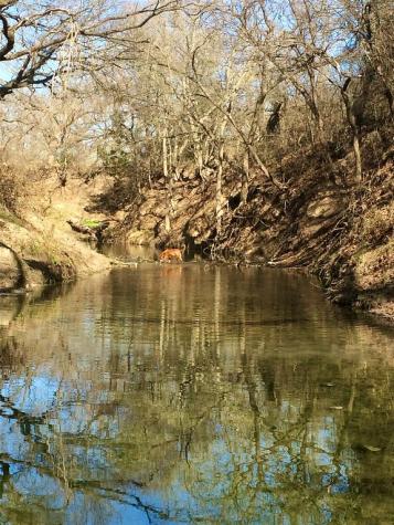 950 County Road 392 Carlton TX 76436