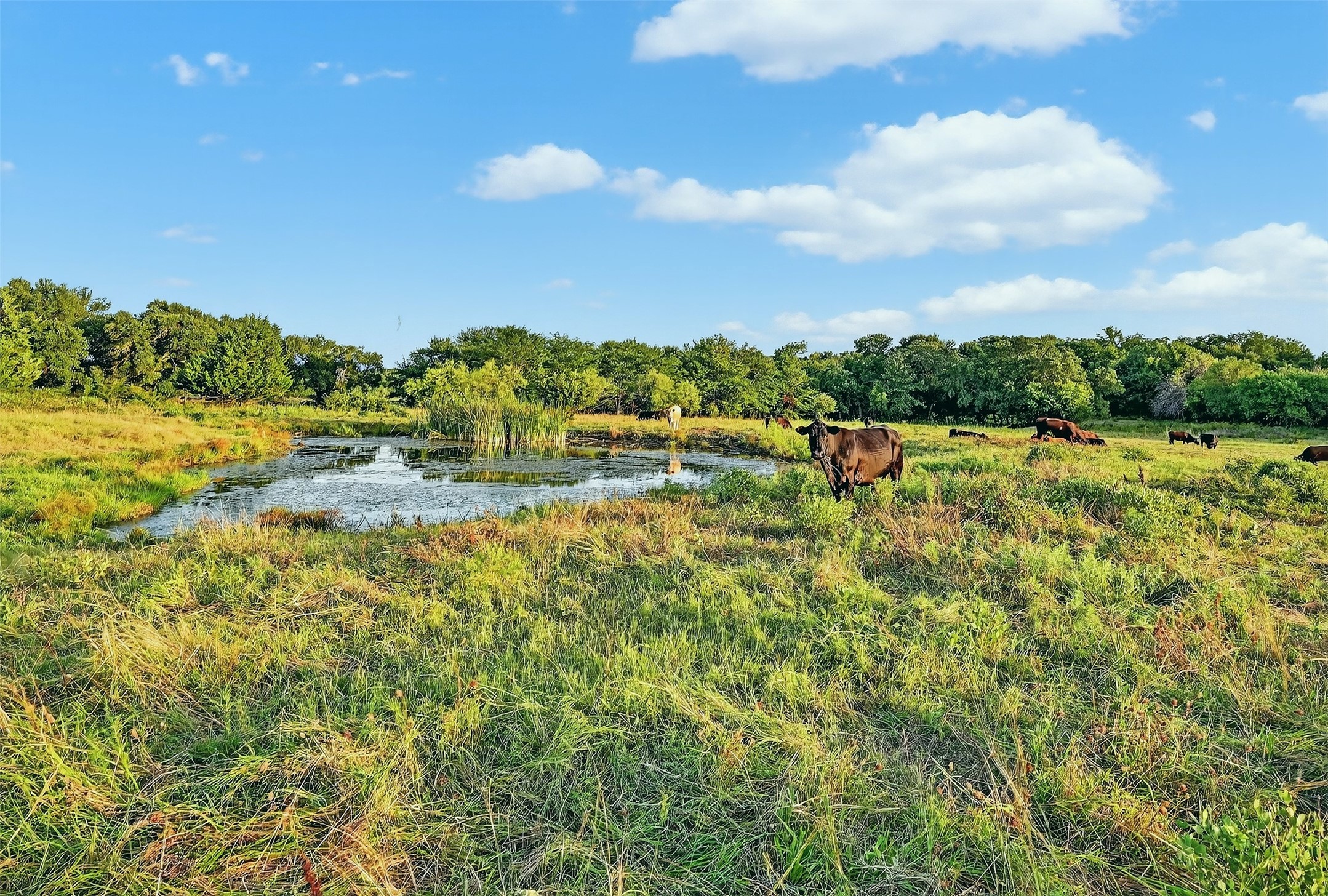 2340 Wright Road Sherman TX 75092