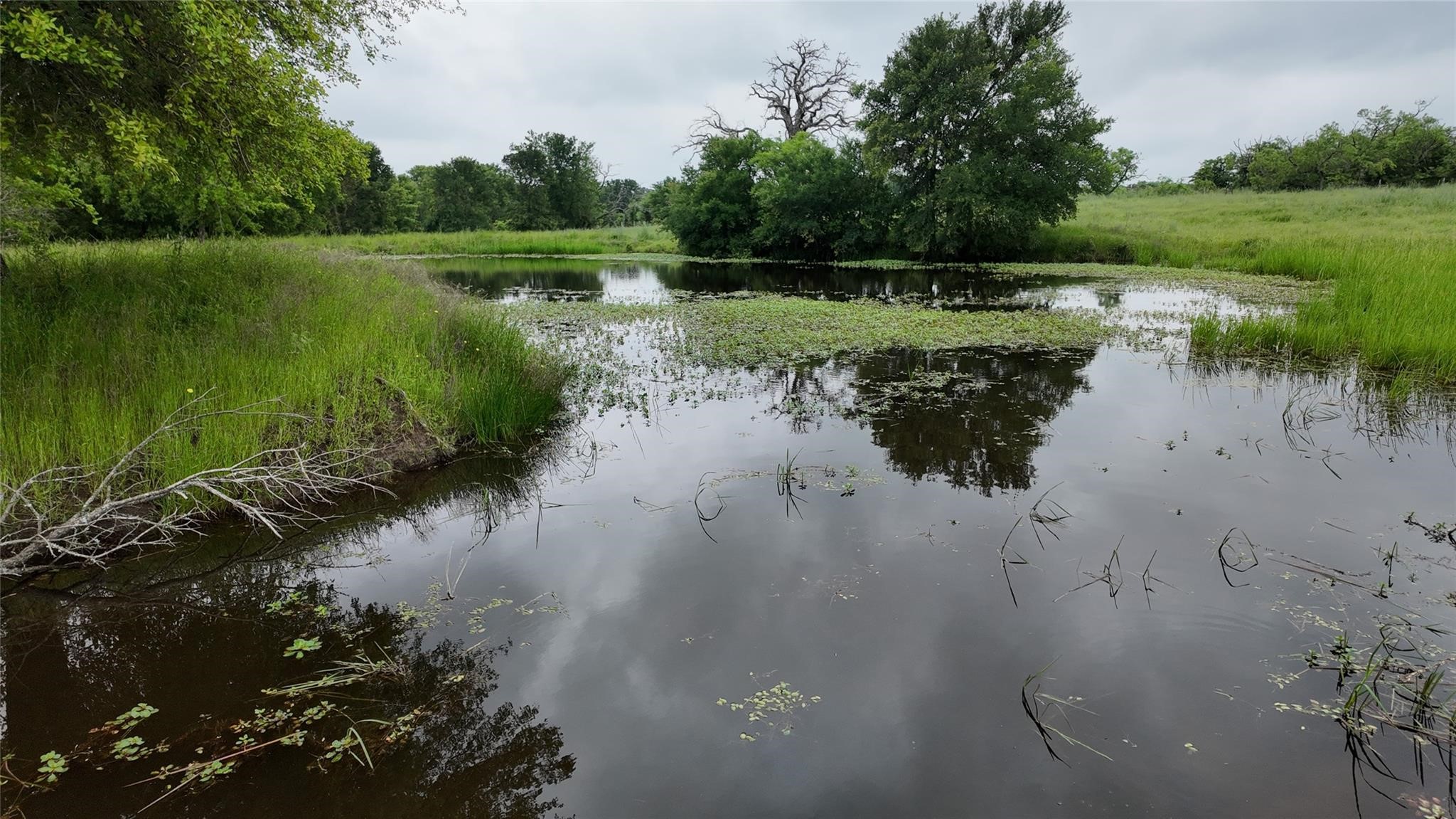 308 Fcr 995 Wortham TX 76693